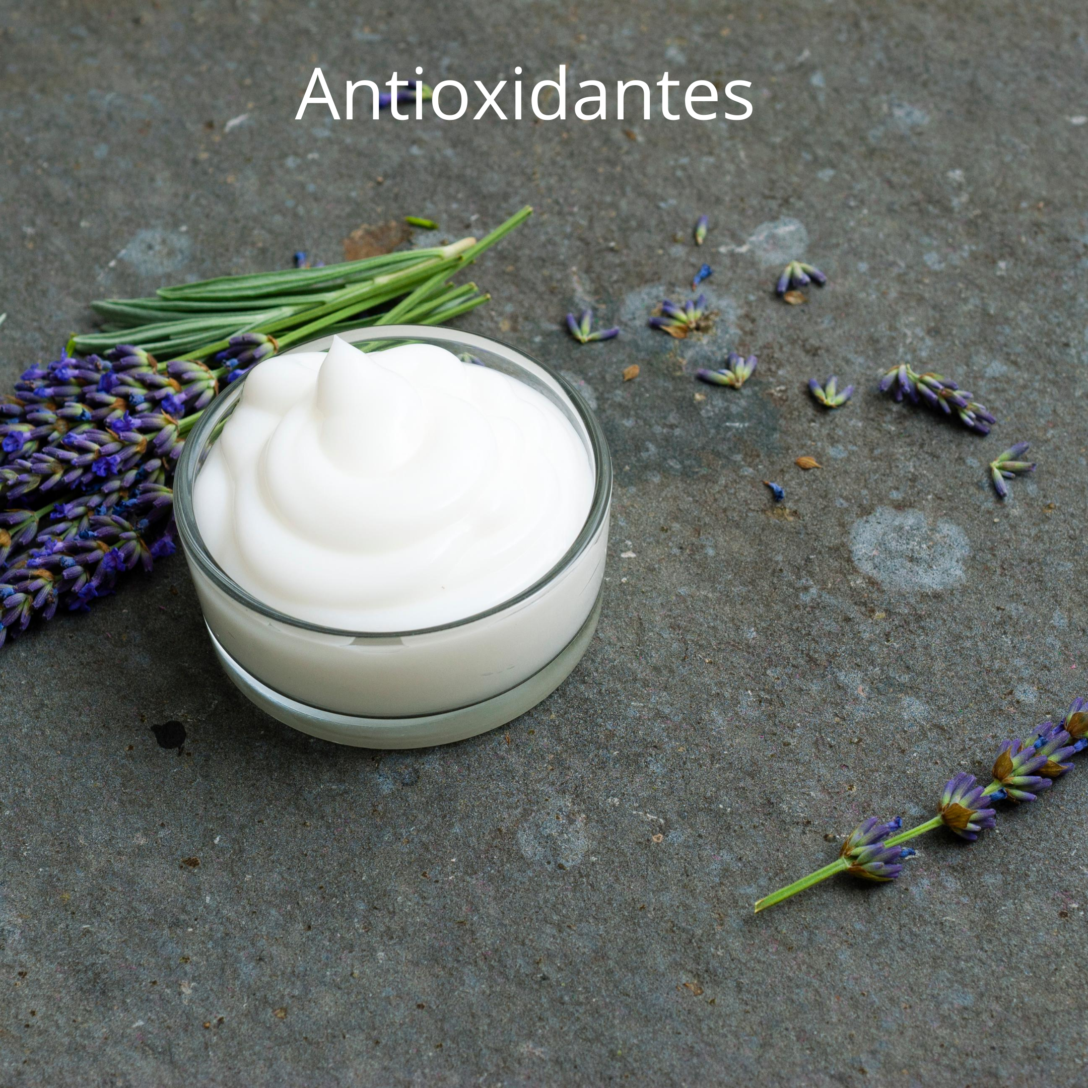 Antioxidantes para Cosméticos 